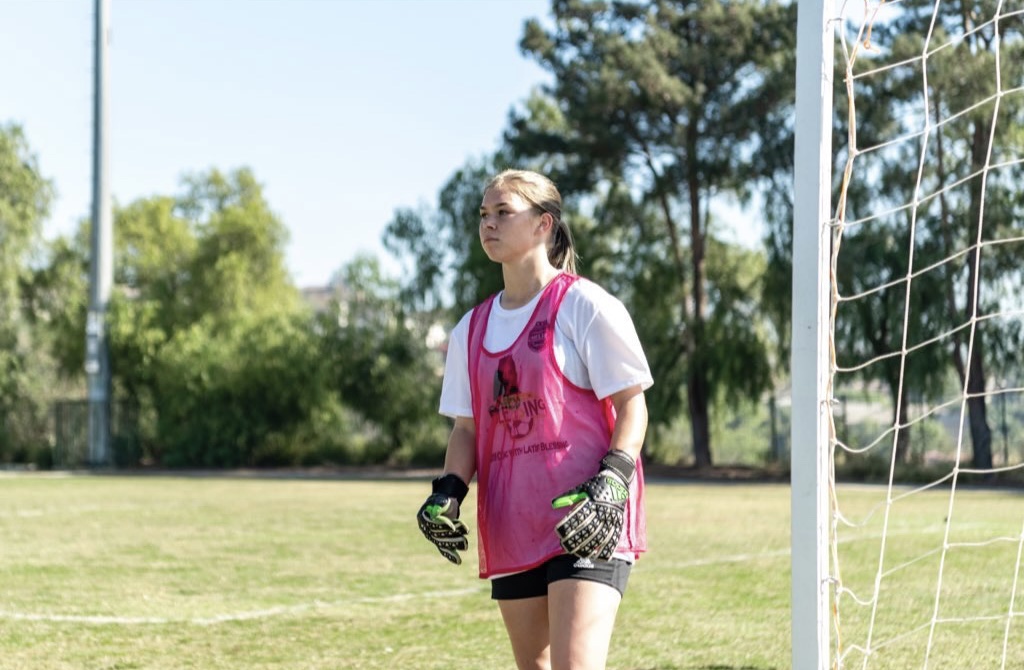 A goalkeeper ready during play
